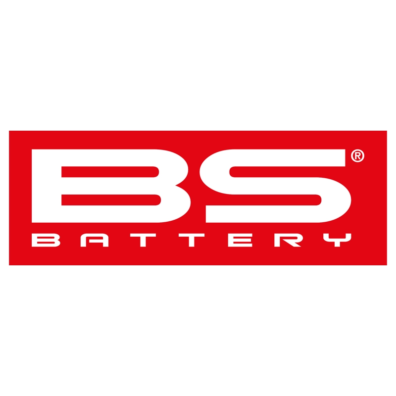 BS Battery
